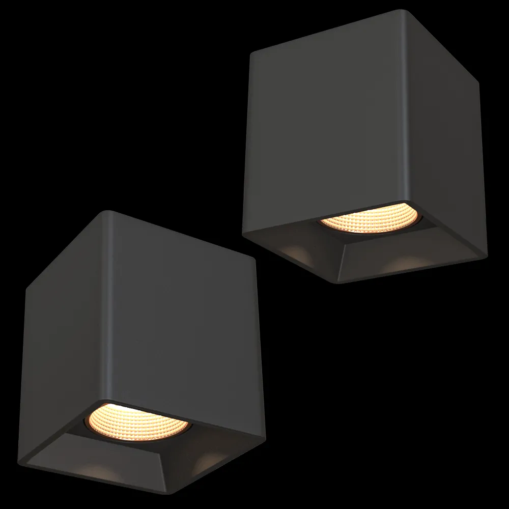 DENKIRS – Spot surface luminaire DK3080-BBR 3ds Max