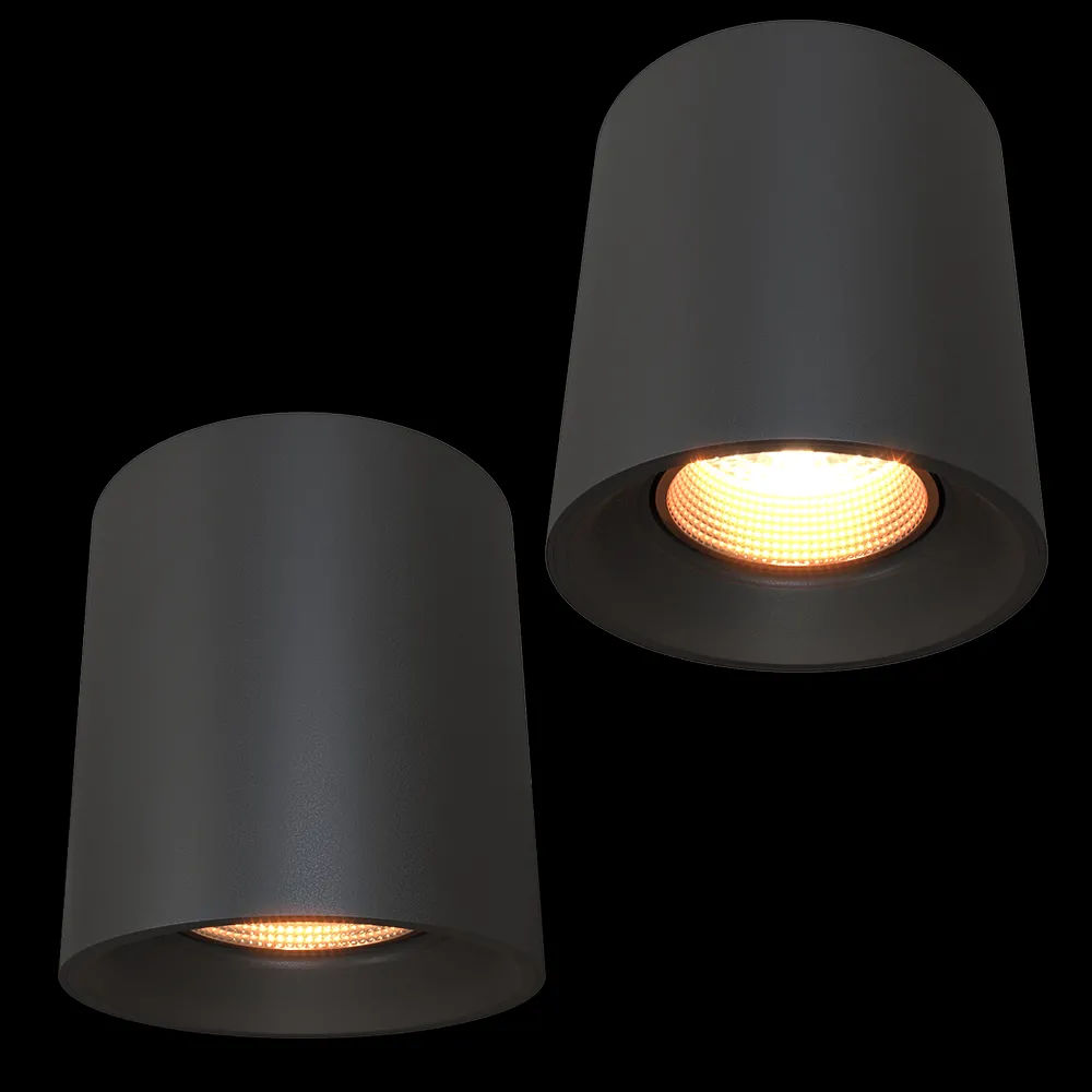 DENKIRS – Spot surface luminaire DK3090-BBR 3ds Max