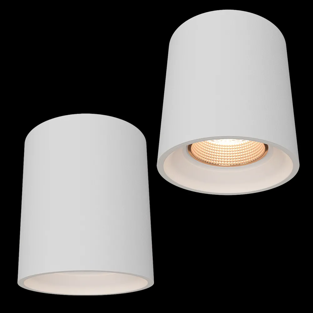 DENKIRS – Spot surface luminaire DK3090-WBR 3ds Max