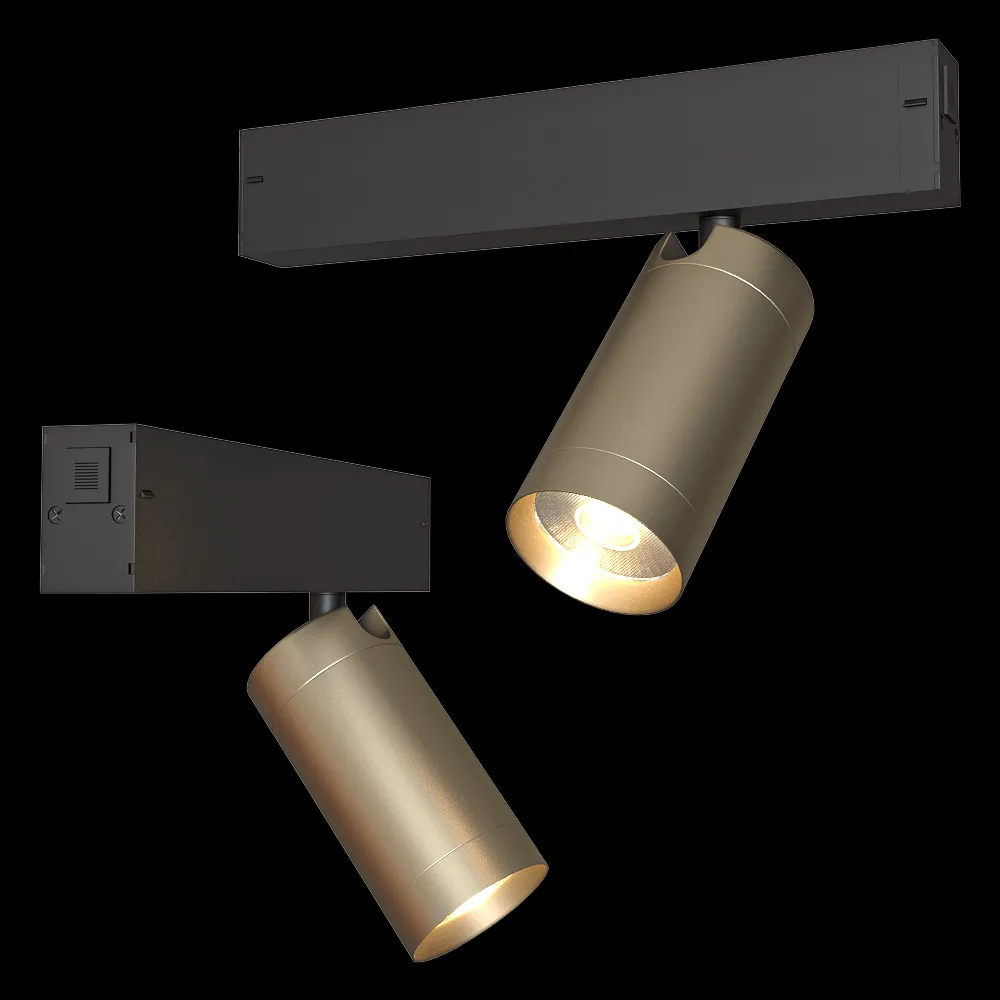 DENKIRS – Track light DK8010-BG 3ds Max