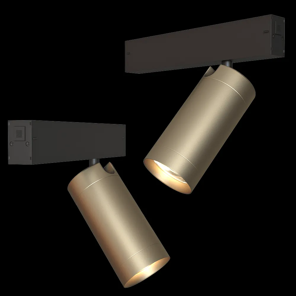 DENKIRS – Track light DK8020-BG 3ds Max