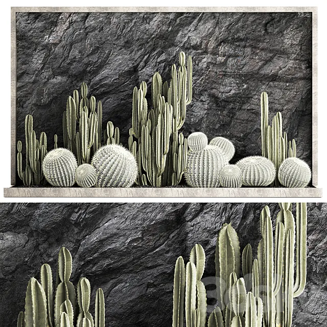 Desert plants cacti with wall rock black pebbles cereus echinocactus Barrel cactus. Plant collection 1279 3DS Max Model