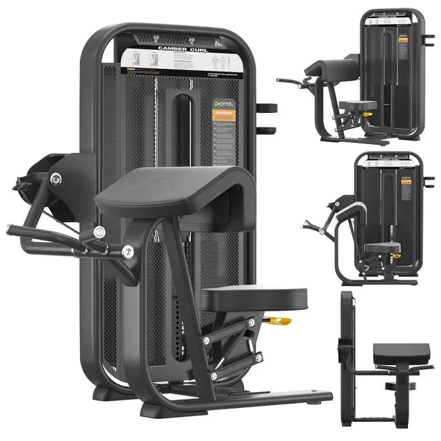 DHZ Fitness E-7030 Camber Cur 3dsMax Model