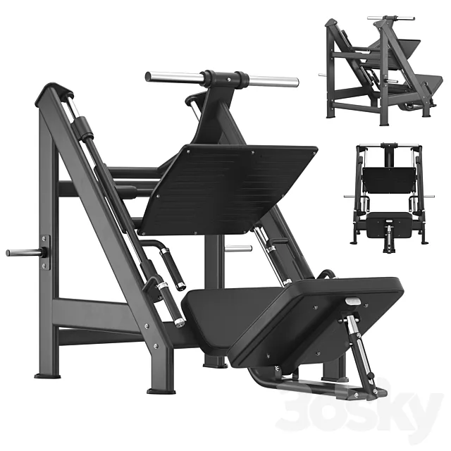 DHZ Fitness E-7056 Leg Press 3DS Max Model