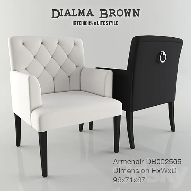 Dialma Brown armchair 3ds Max