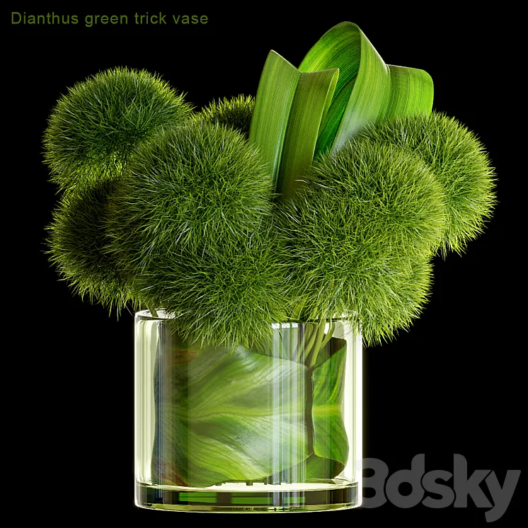 Dianthus green trick vase 3DS Max