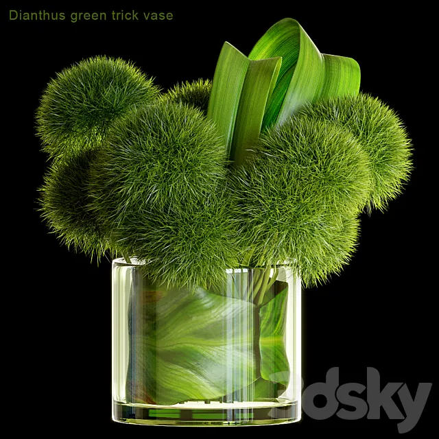 Dianthus green trick vase 3DSMax File