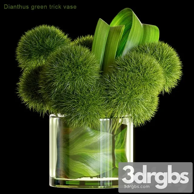 Dianthus green trick vase