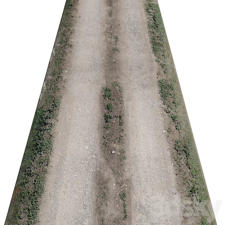 Dirt road_1 3DS Max