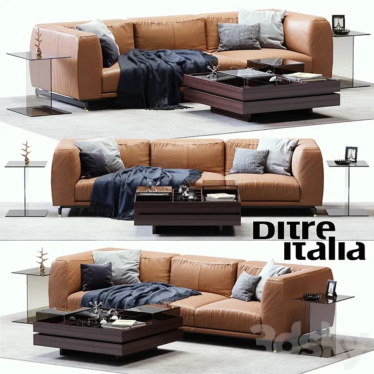 DITRE ITALIA St. Germain Leather Sofa 3DS Max