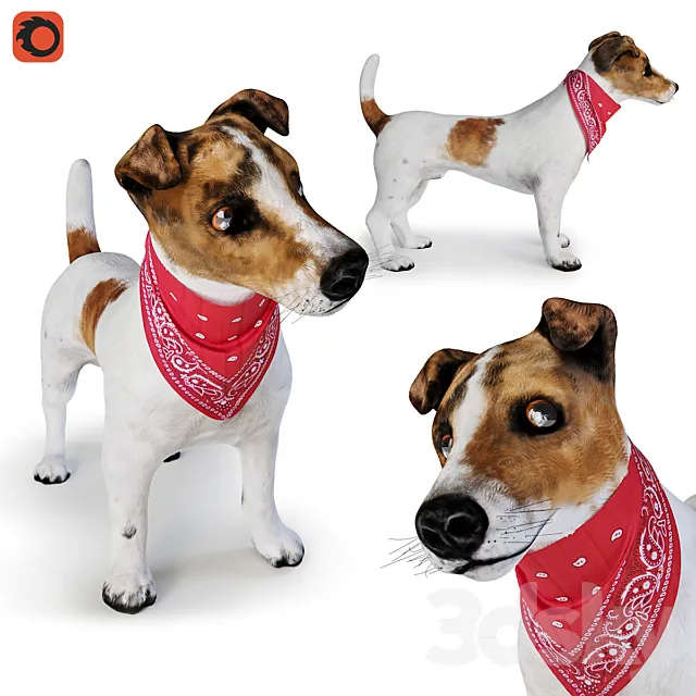 Dog Jack Russell Terrier 3ds Max