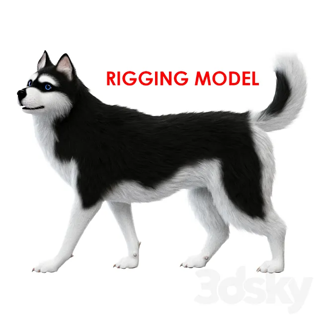 Dog (rig) 3ds Max