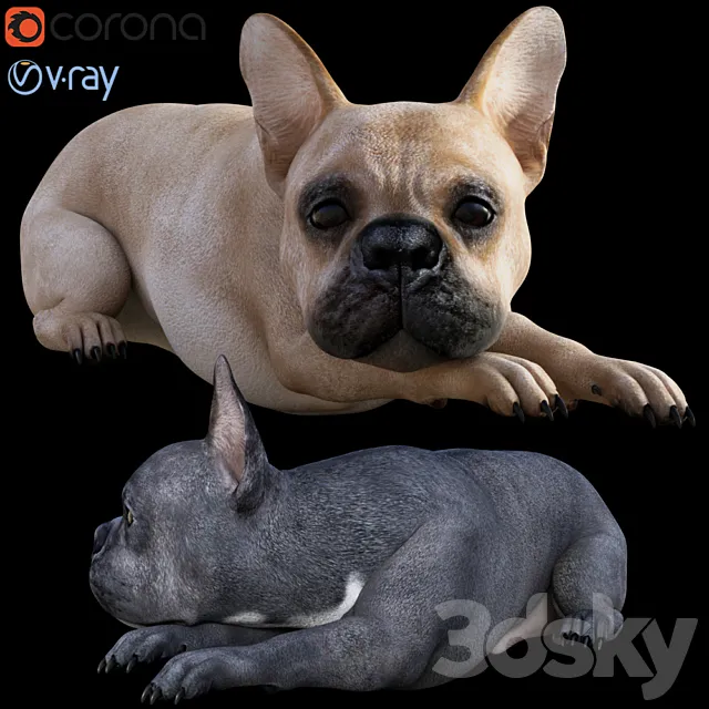 Dog_Bull 3ds Max