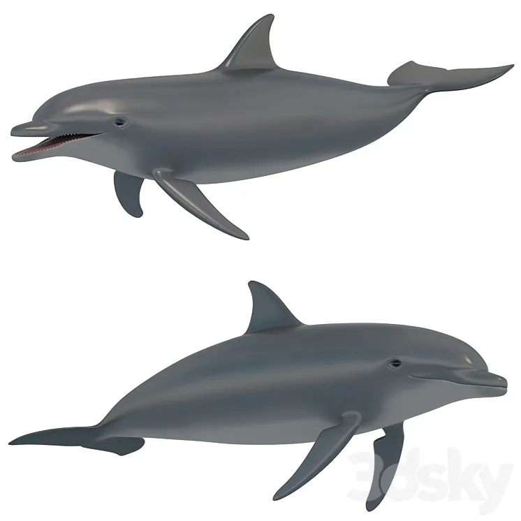 Dolphin bottlenose dolphin 3DS Max