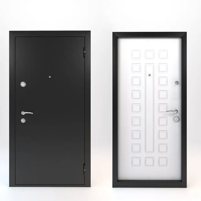Doors are metal-wood (2 items) 3dsMax Model