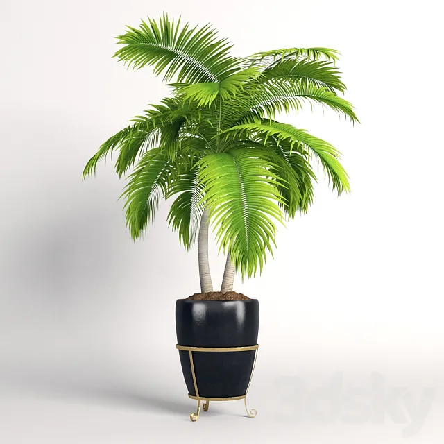 Double palm trees in a pot 3DSMax File