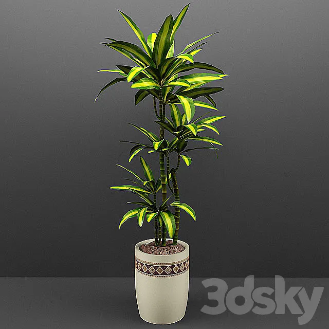 Dracaena 3ds Max