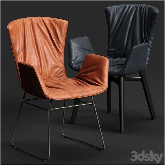 DRAENERT DEXTER Armchair 3dsMax Model
