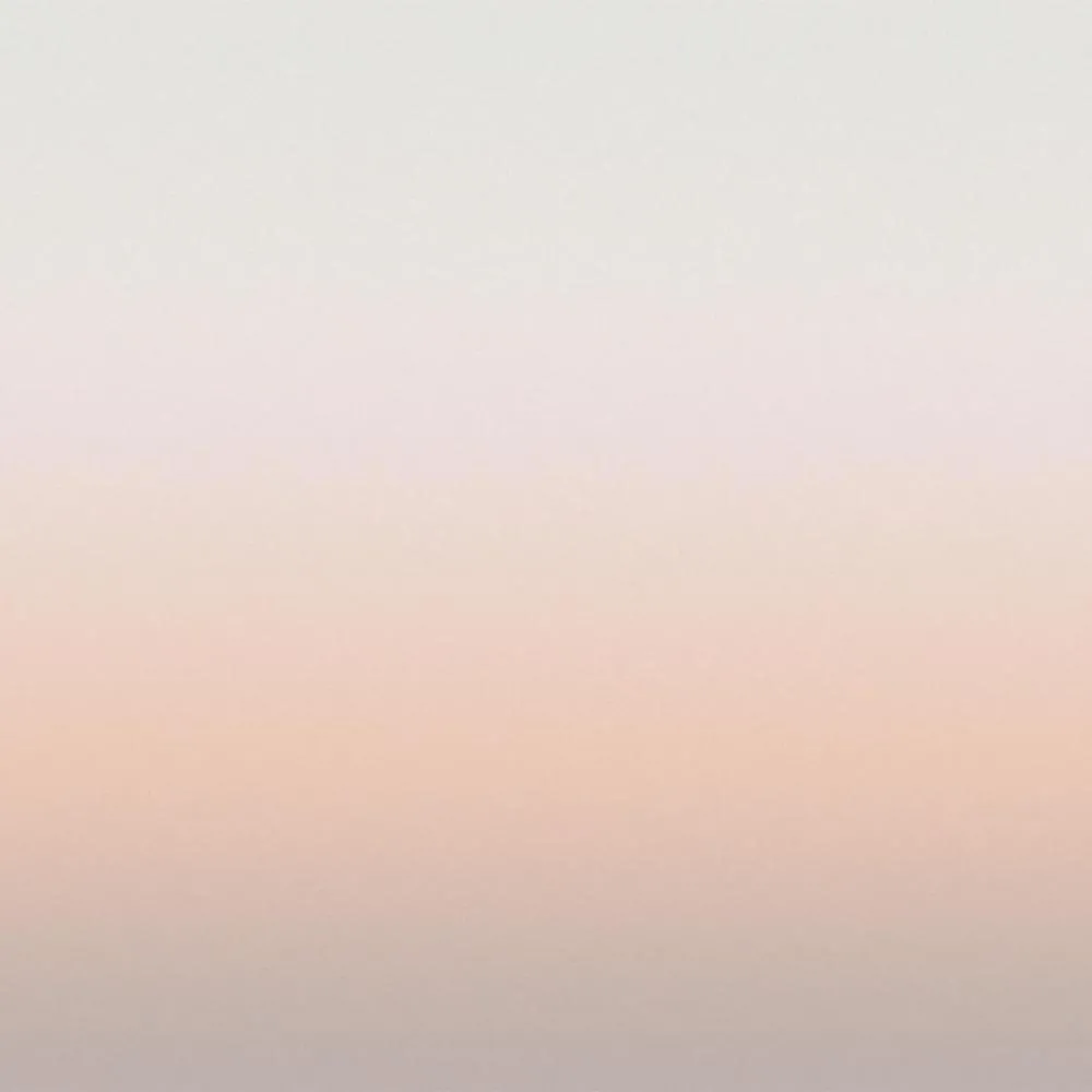 Dress-wall – Gradient wallpaper Cloudy pink 3ds Max