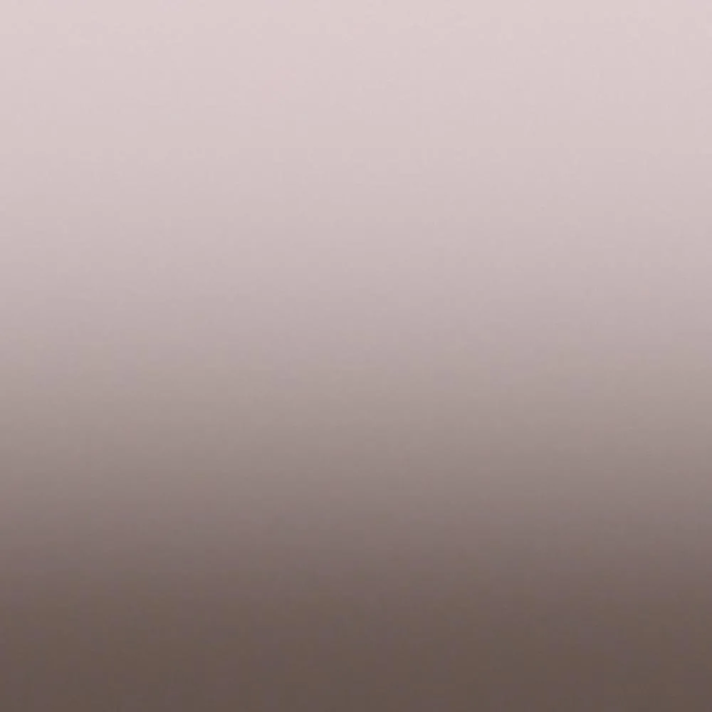 Dress-wall – Gradient wallpaper Cold brown 3ds Max