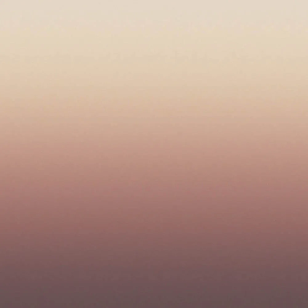 Dress-wall – Gradient wallpaper Pink-brown 3ds Max