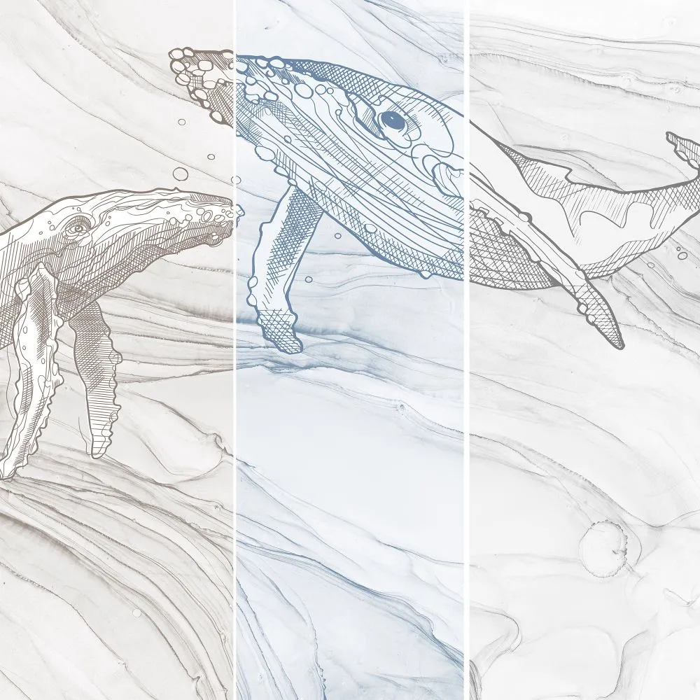 Dress-wall – Wallpaper Comandor 3ds Max