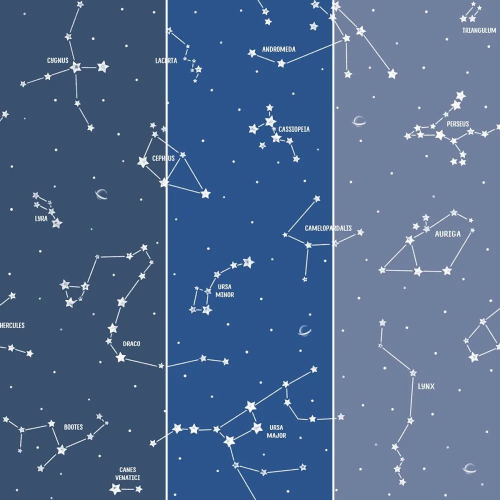 Dress-wall – Wallpaper Constellations 3ds Max