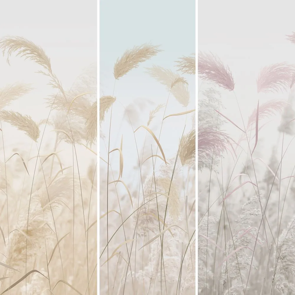 Dress-wall – Wallpaper Cortaderia 3ds Max