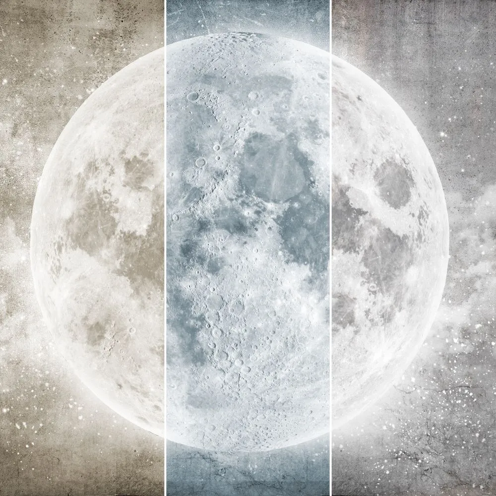 Dress-wall – Wallpaper Full moon 3ds Max