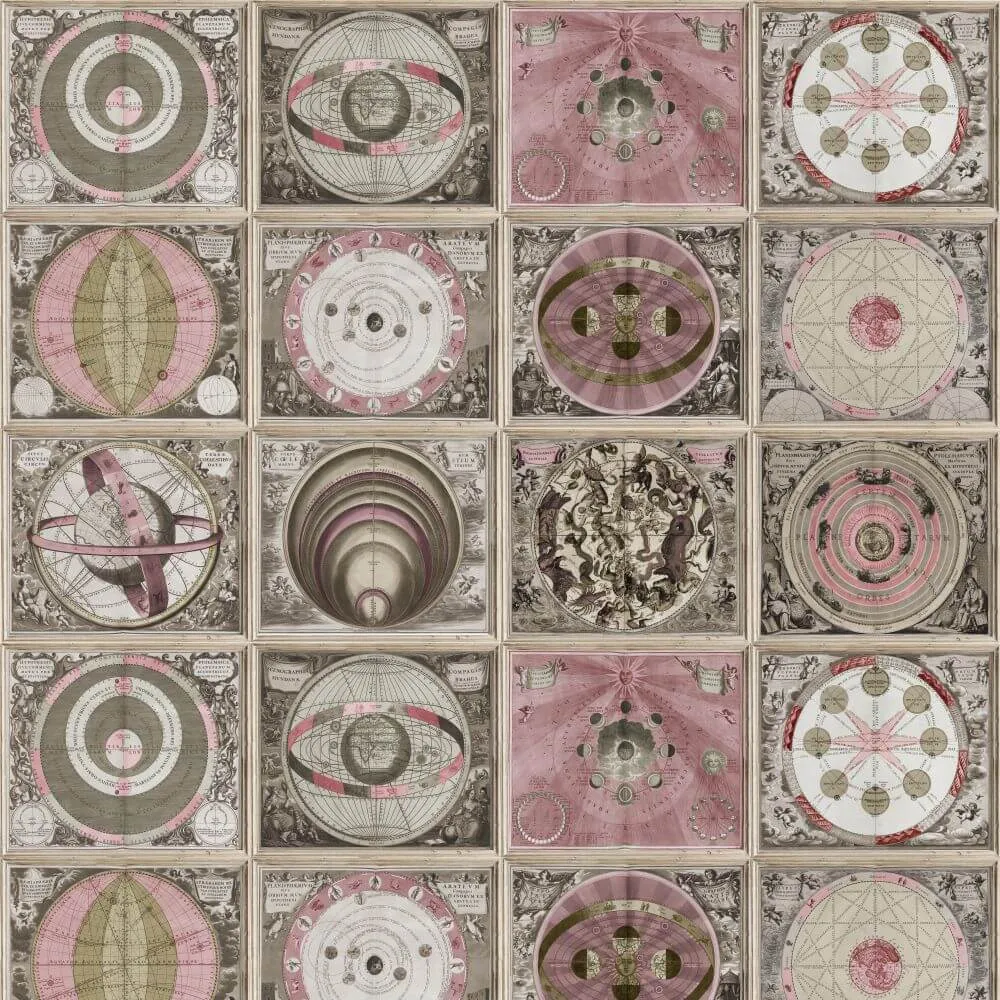 Dress-wall – Wallpaper Harmony of the macrocosm 3ds Max