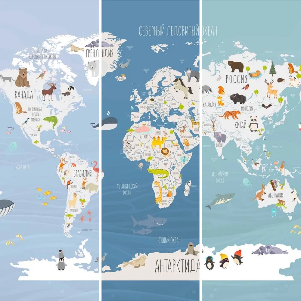 Dress-wall – Wallpaper Oceania world map 3ds Max