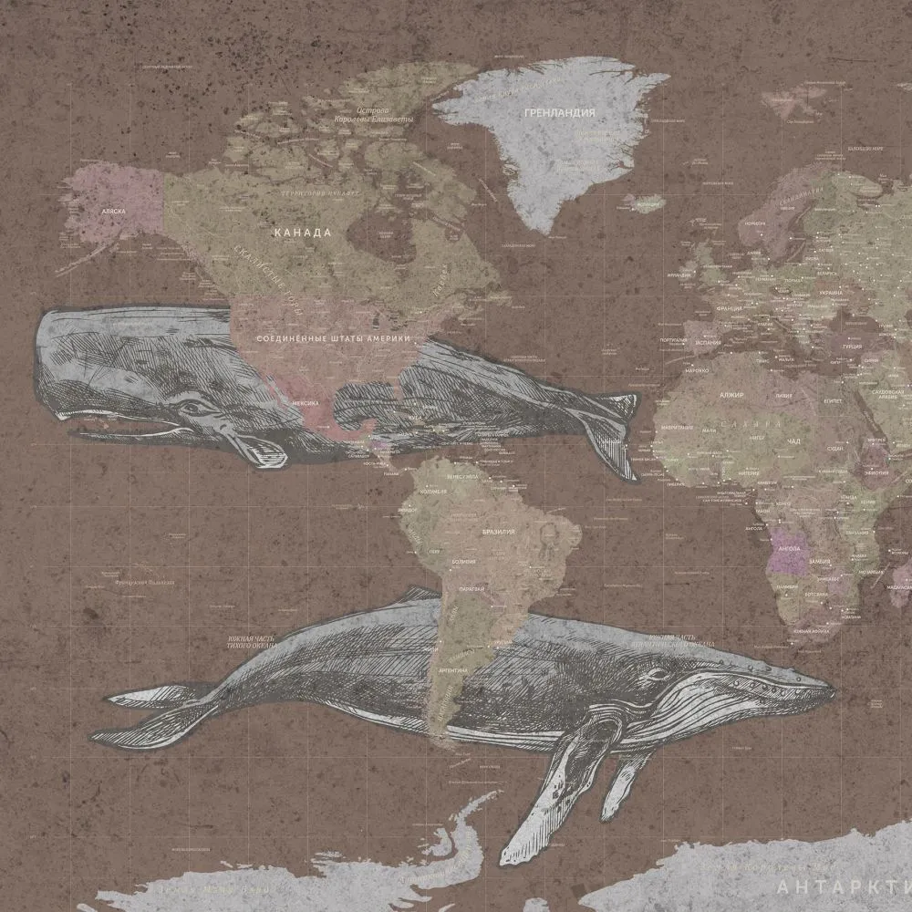 Dress-wall – Wallpaper World map with whales 3ds Max