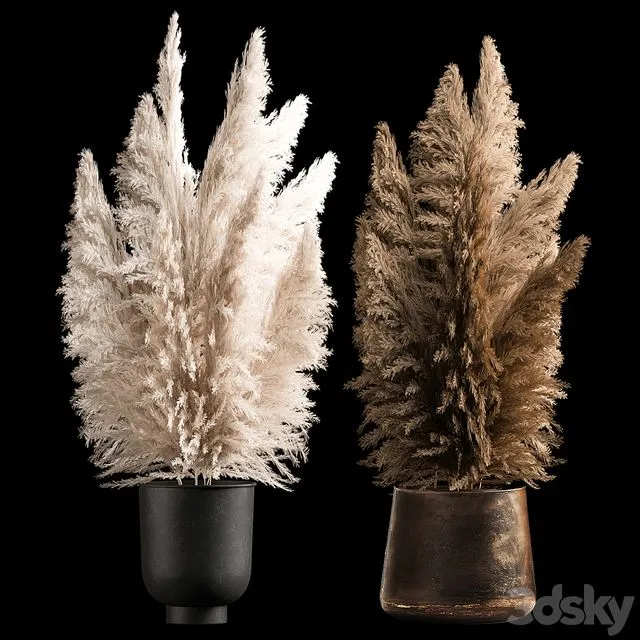 Dried flower bouquet of dried reeds 272 3dsMax Model