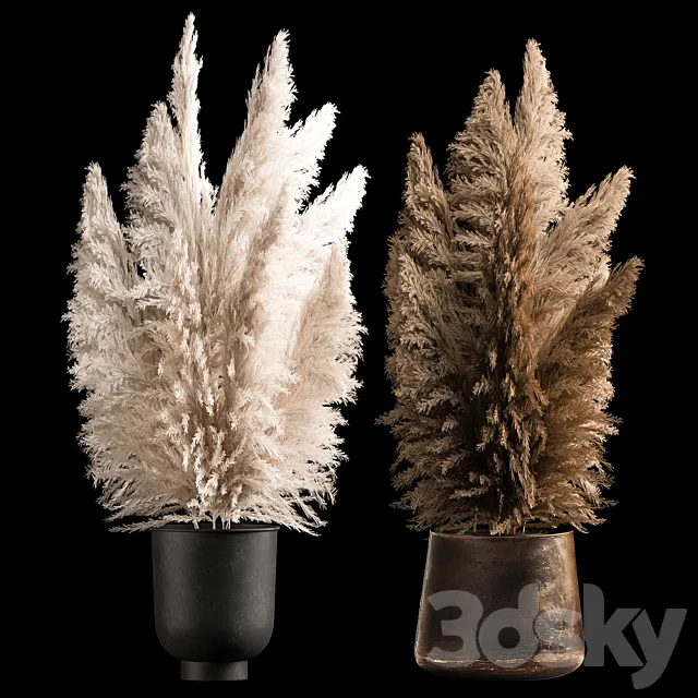 Dried flower bouquet of dried reeds in a rusty metal pot from pampas grass Cortaderia. 272. 3ds Max