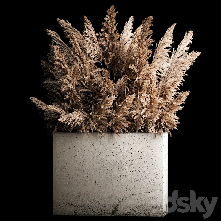 Dried flower bouquet of pampas from dry reeds in a concrete vase of pampas grass Cortaderia. 268. 3DS Max Model