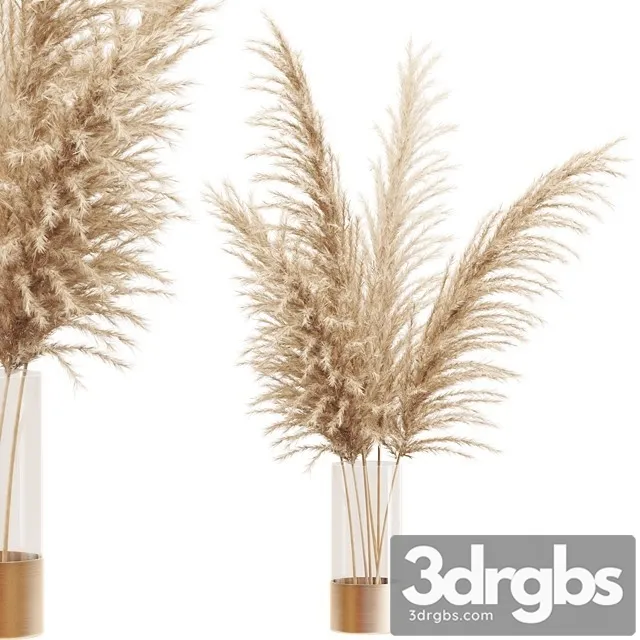 Dried Flower Pampas Grass in Glass Gold Vase 3dsmax Download