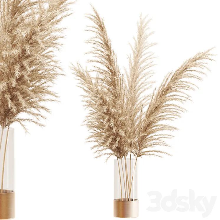 Dried flower pampas grass in glass gold vase 3DS Max