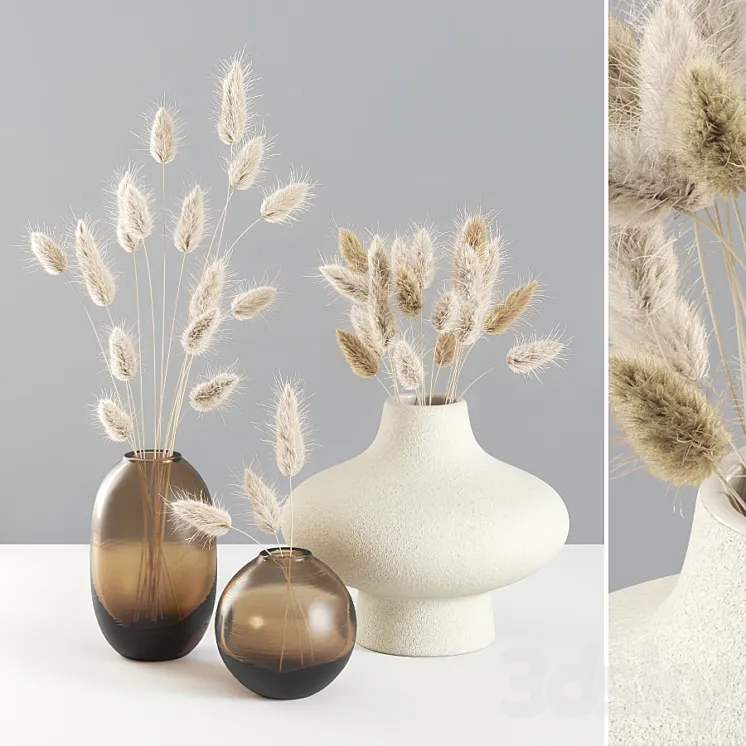 Dried Lagurus Bouquets 01 3DS Max