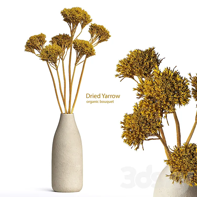 Dried Organic Bouquet Yarrow 3ds Max