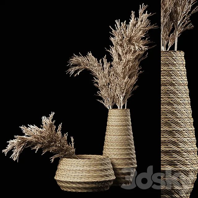 Dried Pampas Bouquet in Rattan Wicker Vases 3DSMax File