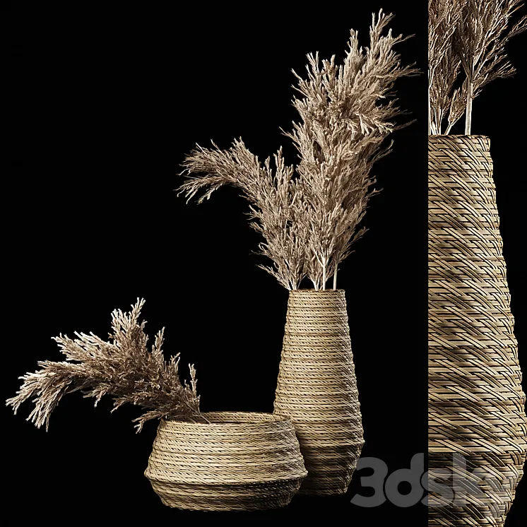 Dried Pampas Bouquet in Rattan Wicker Vases 3DS Max Model