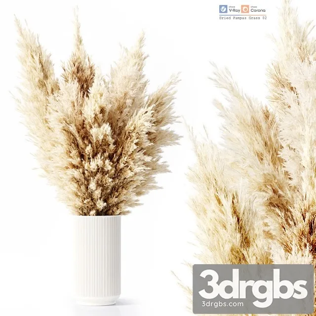Dried Pampas Grass 02 3dsmax Download