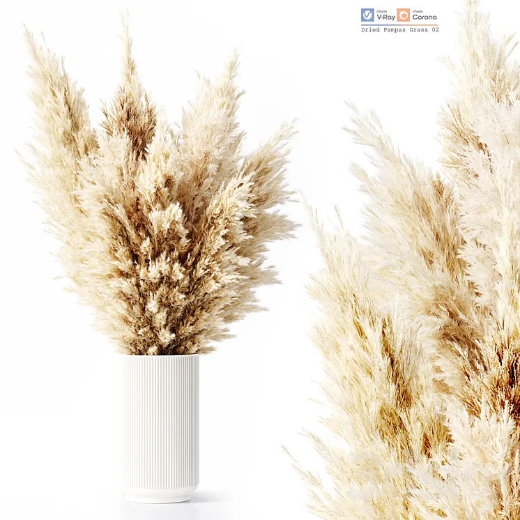 Dried Pampas Grass 02 3DS Max Model