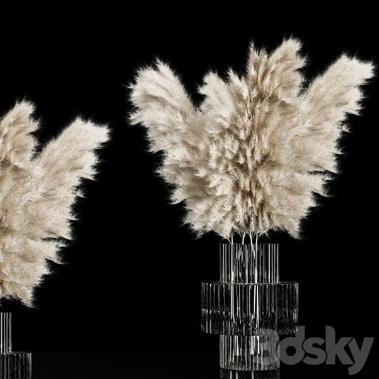 Dried Pampas Plant 3DS Max Model