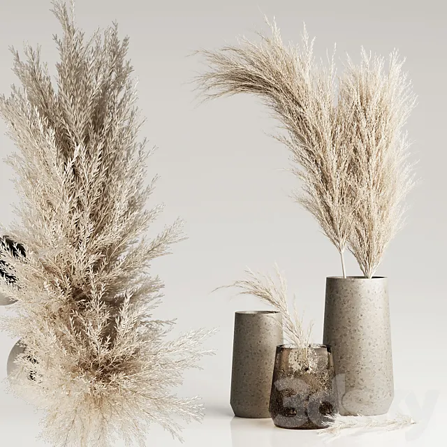 Dried Pampas Plant in Vases 3DS Max Model