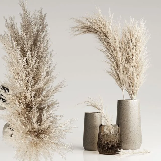 Dried Pampas Plant in Vases 3dsMax Model
