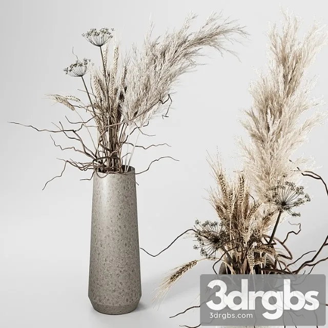 Dried plants bouquet in vase