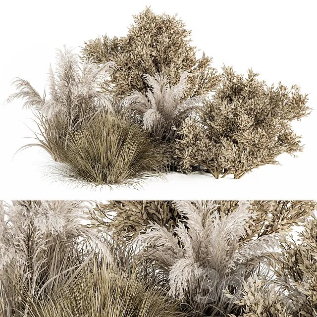 Dried Wild Plants Bush – Bush Set 36 3DS Max Model