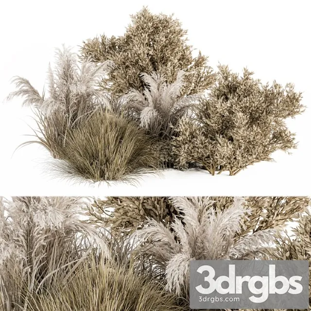 Dried wild plants bush – bush set 36