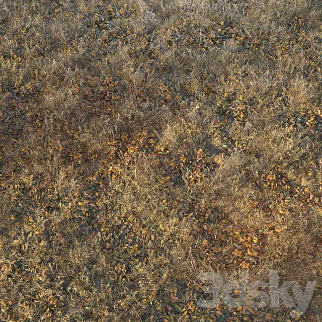 Dry autumn grass 3DS Max Model